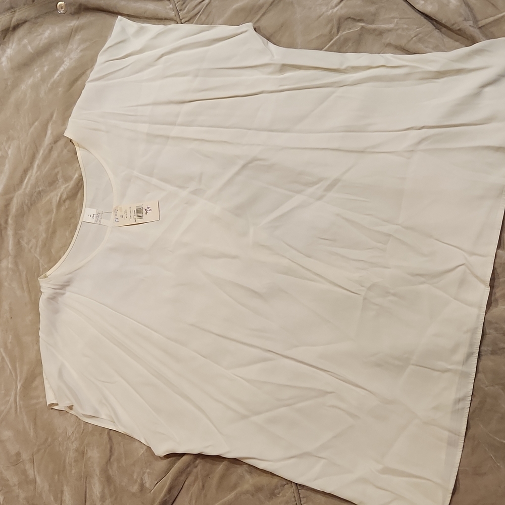 Cream Sheer Blouse